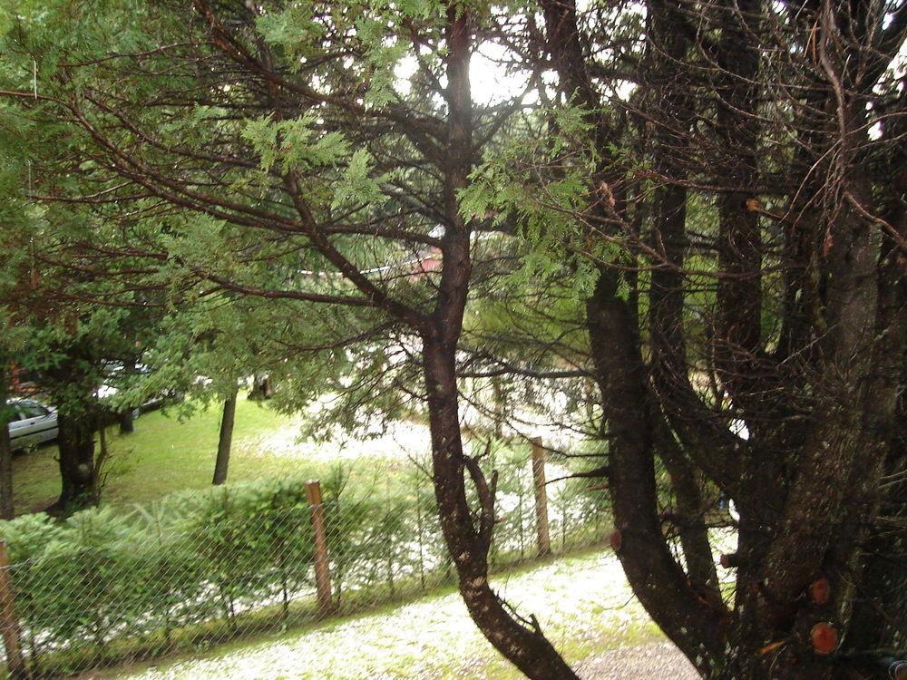 Tinsel'S House Villa San Carlos de Bariloche Ngoại thất bức ảnh
